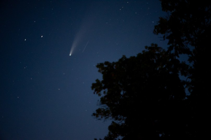 The comet in the top left of the photo with a small bright blur to the right of it. A tree takes up the bottom right of the photo.