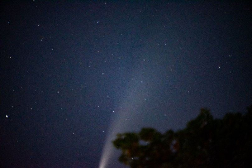 The comet tail coming up from the bottom of the photo. You can sort of see the ion tail too coming off the top.
