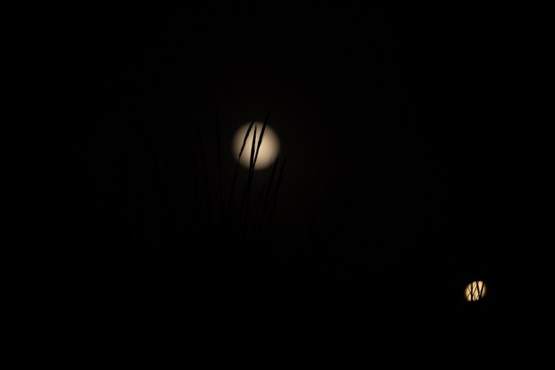 Moon and street light out of focus and grass in focus in front of them